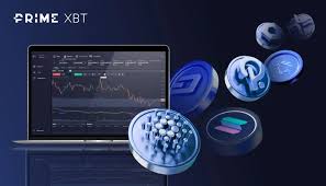 Comprehensive Guide to PrimeXBT Trading Platform Comprehensive Guide to PrimeXBT Trading Platform